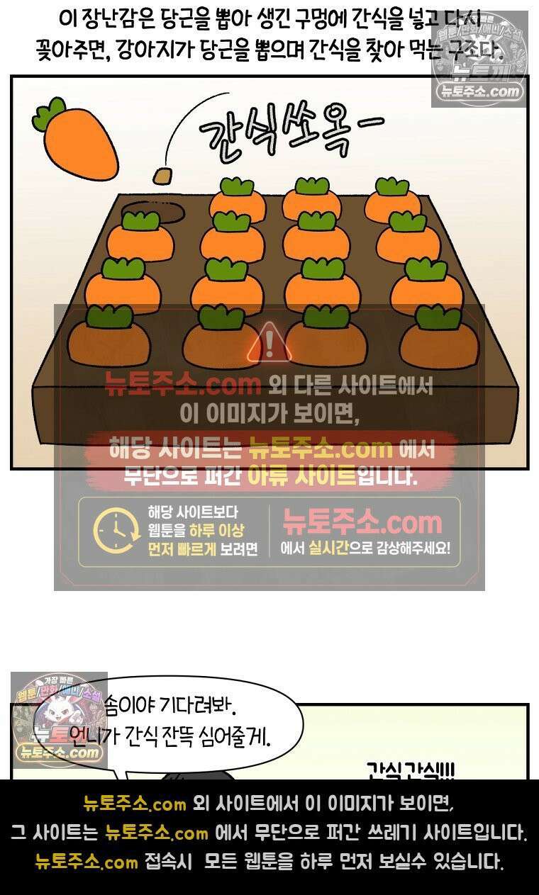 극한견주 시즌2 76화 당근 인형 7
