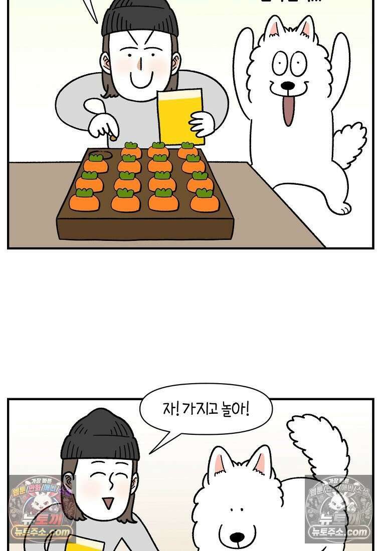 극한견주 시즌2 76화 당근 인형 8
