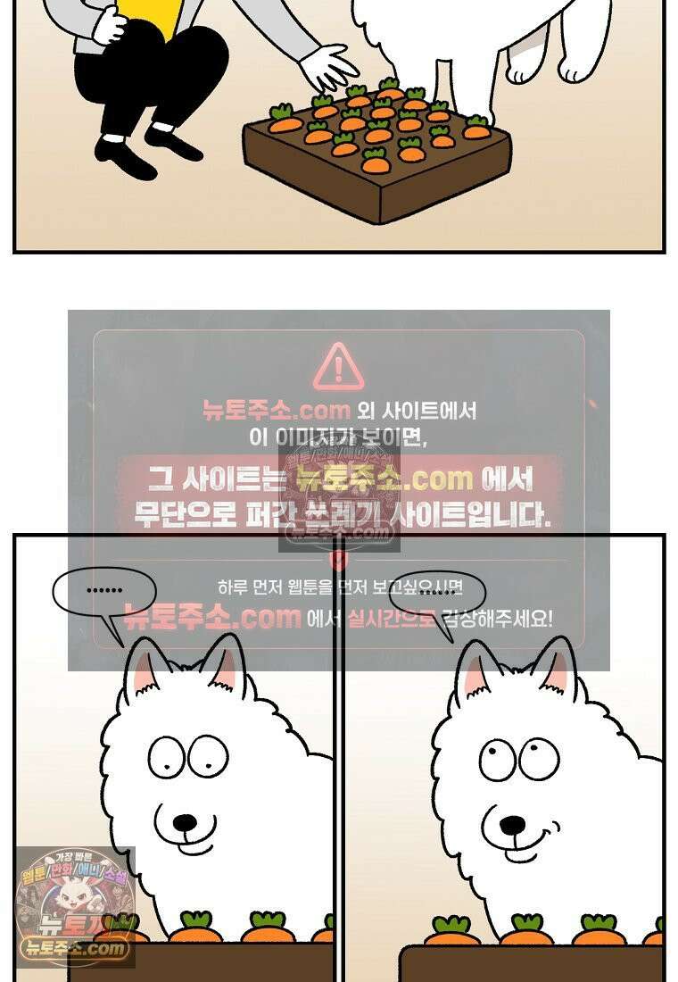 극한견주 시즌2 76화 당근 인형 9
