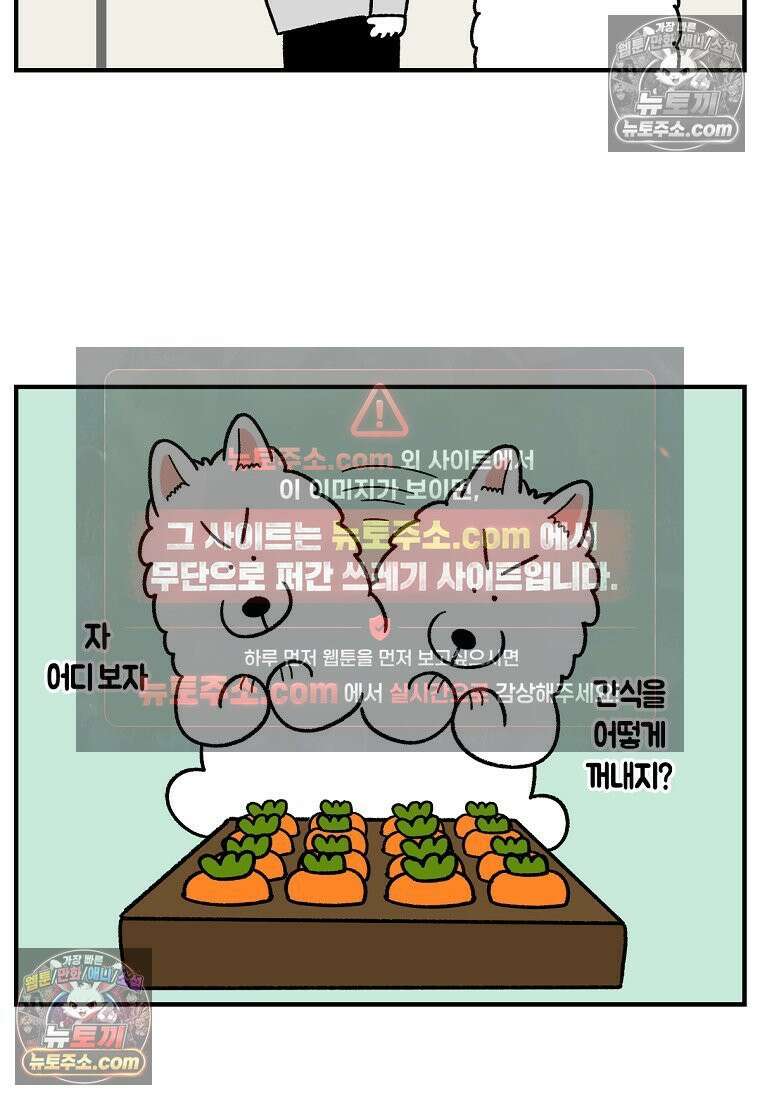 극한견주 시즌2 76화 당근 인형 12