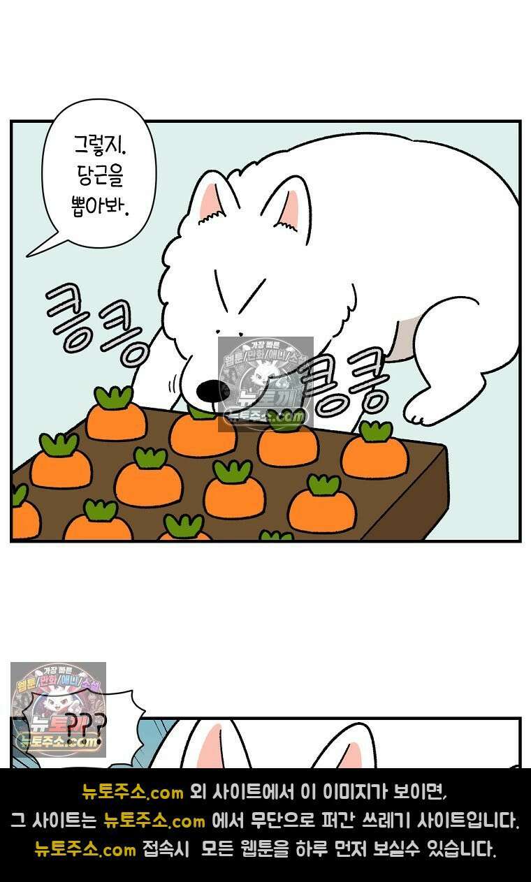 극한견주 시즌2 76화 당근 인형 13