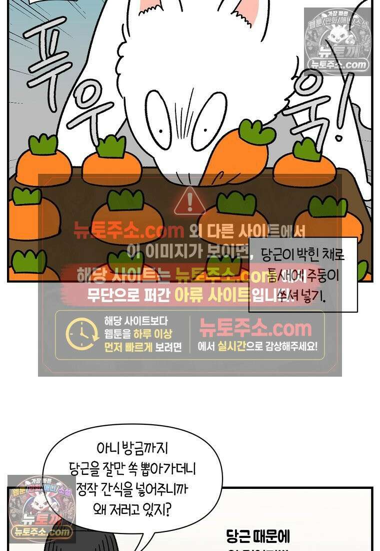 극한견주 시즌2 76화 당근 인형 14