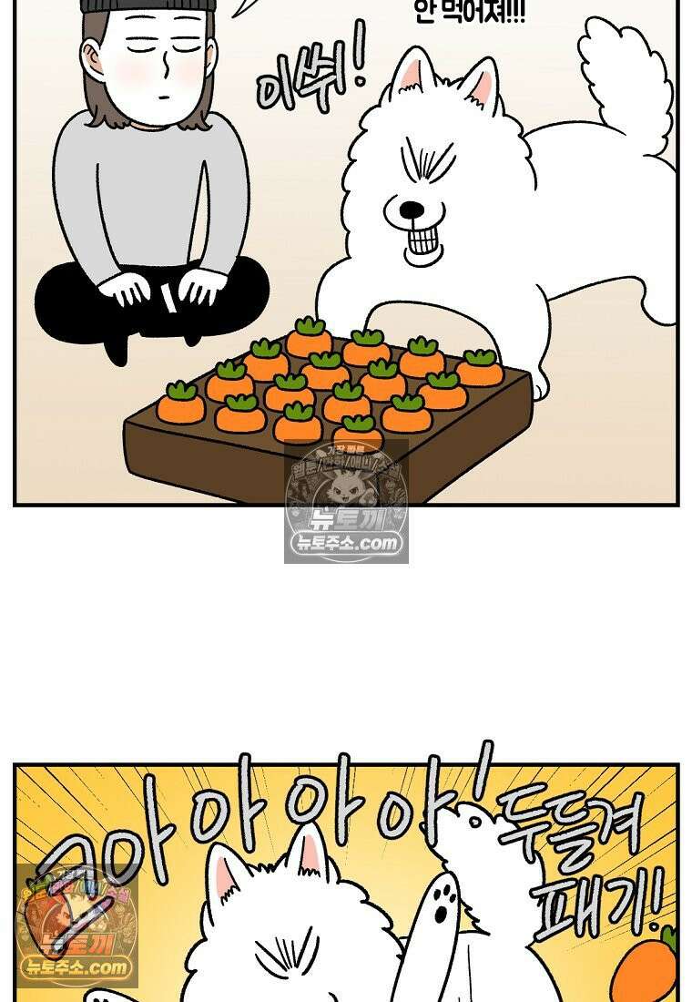 극한견주 시즌2 76화 당근 인형 15
