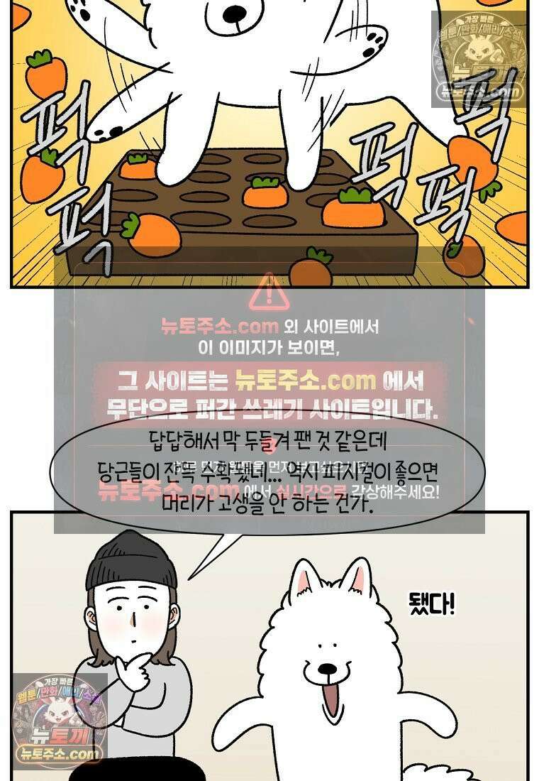극한견주 시즌2 76화 당근 인형 16