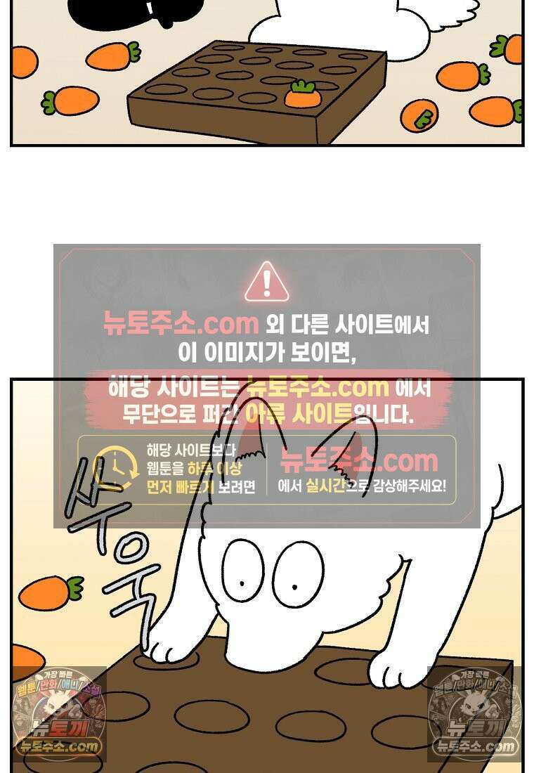 극한견주 시즌2 76화 당근 인형 17