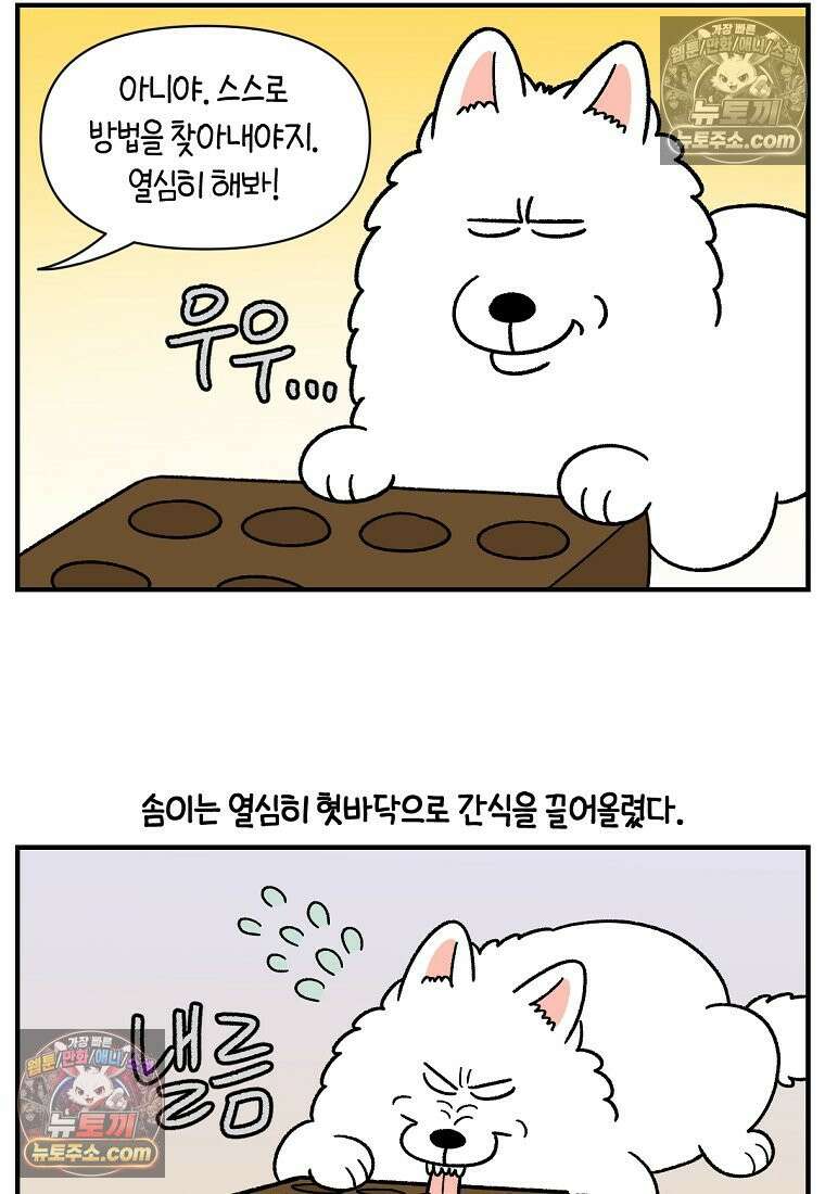 극한견주 시즌2 76화 당근 인형 20