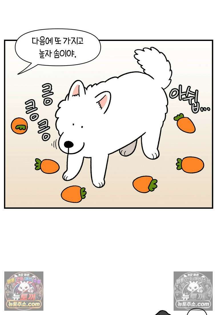 극한견주 시즌2 76화 당근 인형 23