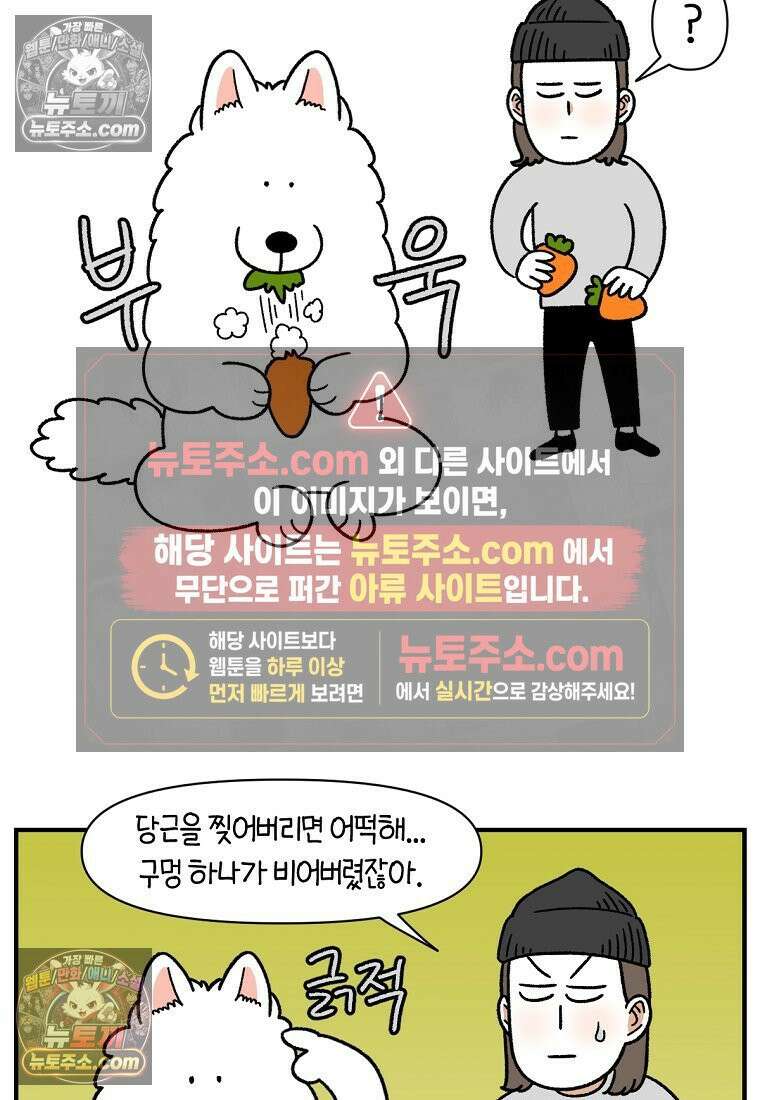극한견주 시즌2 76화 당근 인형 24