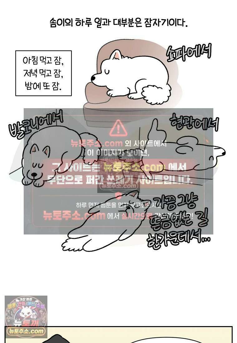 극한견주 시즌2 80화 낮에도 자고 밤에도 자는 개 2