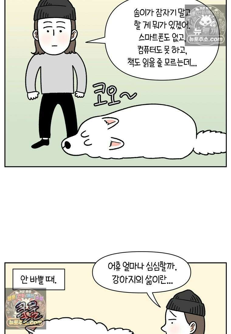극한견주 시즌2 80화 낮에도 자고 밤에도 자는 개 3