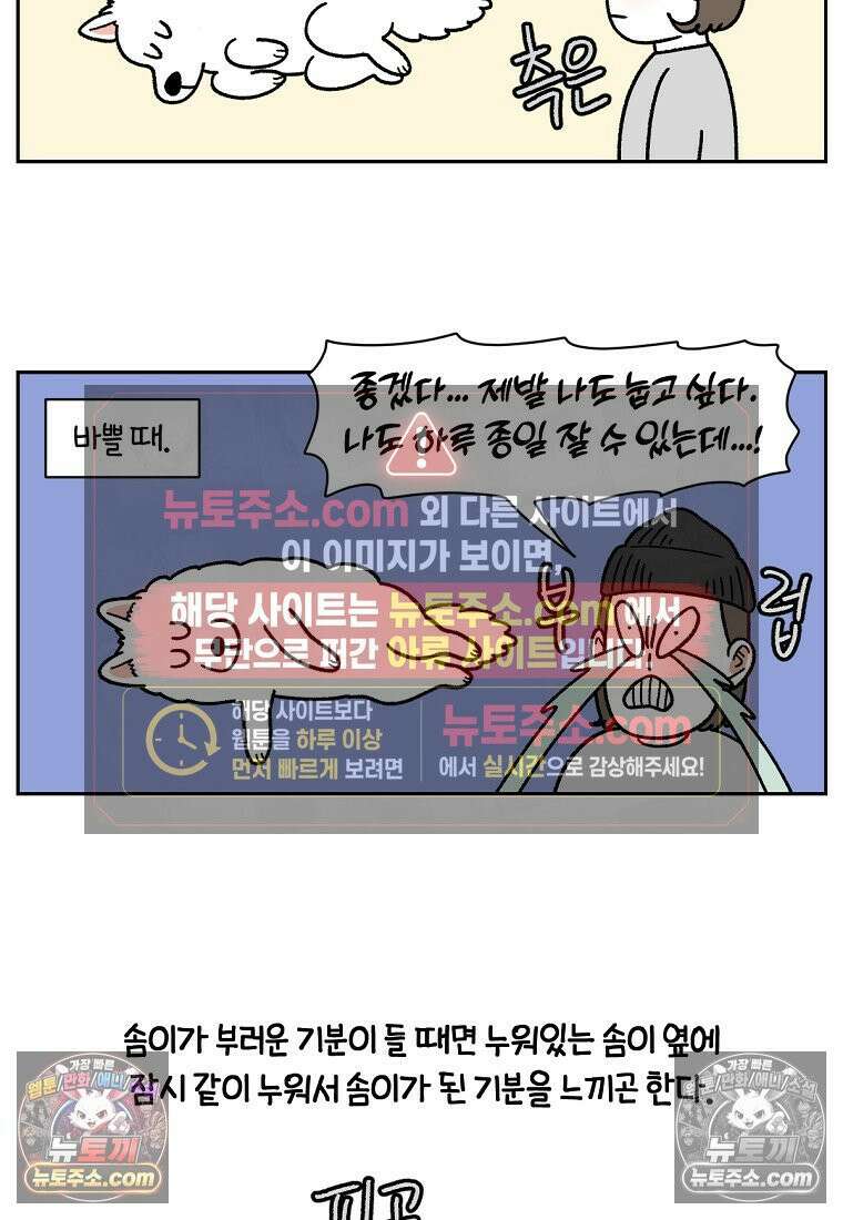 극한견주 시즌2 80화 낮에도 자고 밤에도 자는 개 4