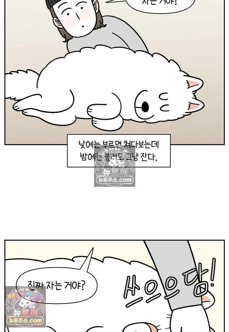 극한견주 시즌2 80화 낮에도 자고 밤에도 자는 개 6