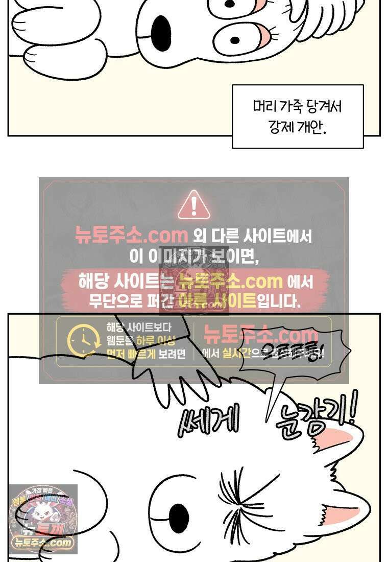 극한견주 시즌2 80화 낮에도 자고 밤에도 자는 개 7