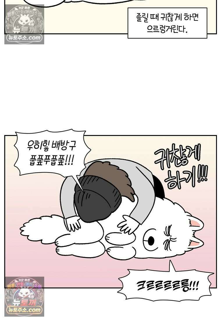극한견주 시즌2 80화 낮에도 자고 밤에도 자는 개 8