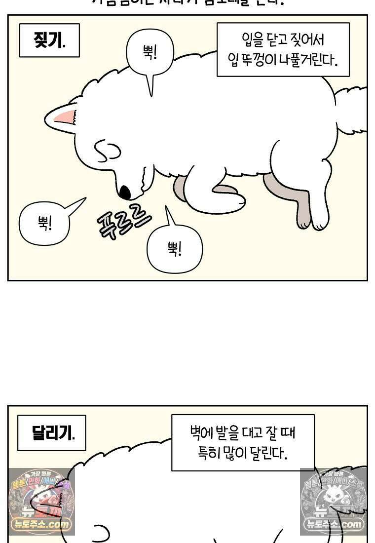 극한견주 시즌2 80화 낮에도 자고 밤에도 자는 개 11