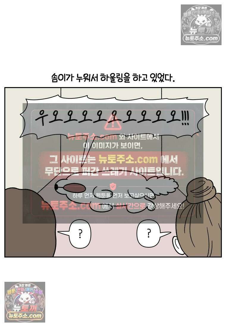 극한견주 시즌2 80화 낮에도 자고 밤에도 자는 개 18