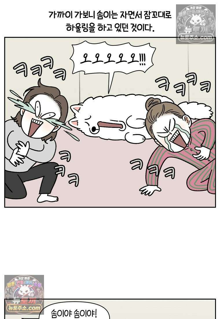 극한견주 시즌2 80화 낮에도 자고 밤에도 자는 개 19