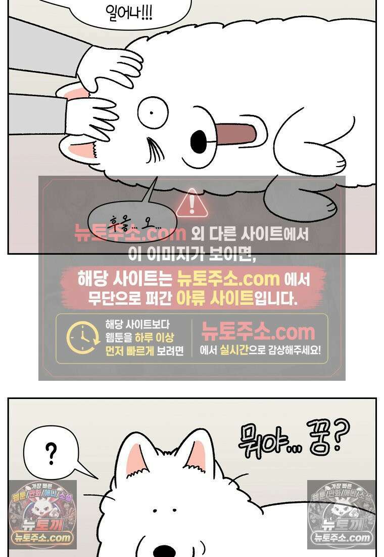 극한견주 시즌2 80화 낮에도 자고 밤에도 자는 개 20