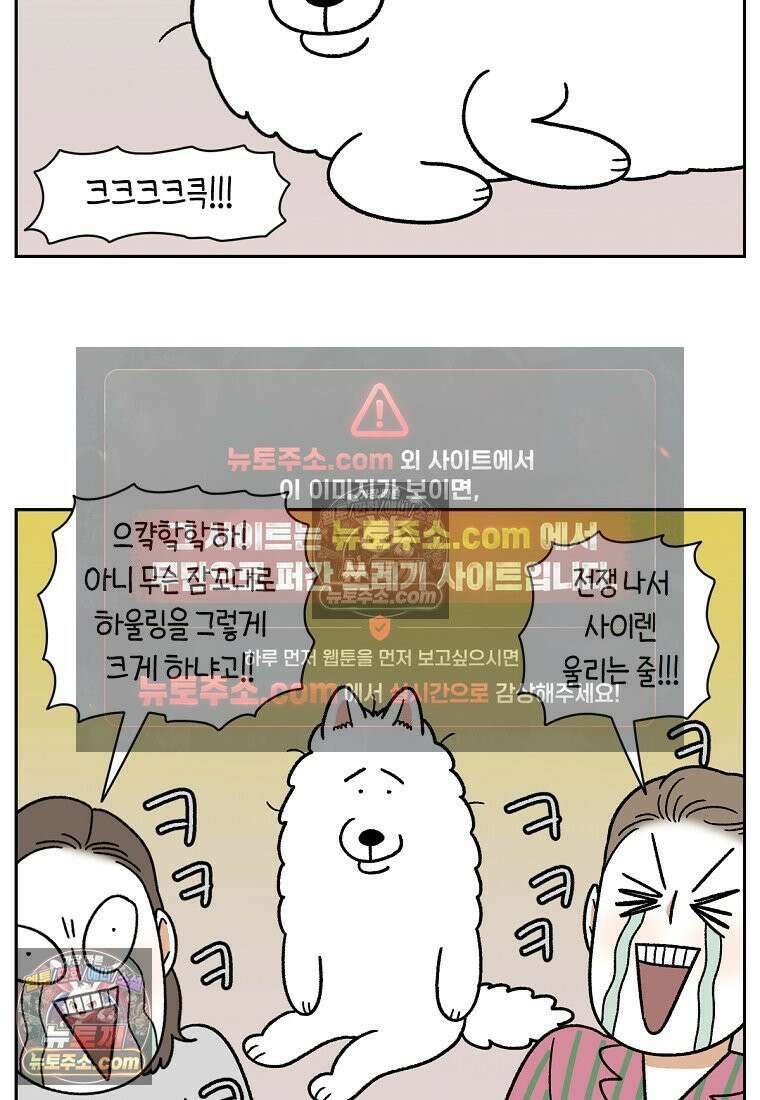 극한견주 시즌2 80화 낮에도 자고 밤에도 자는 개 21