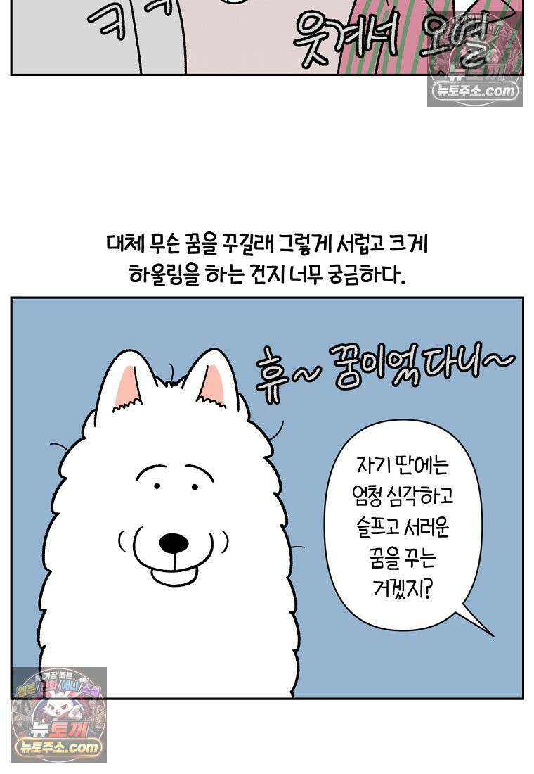 극한견주 시즌2 80화 낮에도 자고 밤에도 자는 개 22