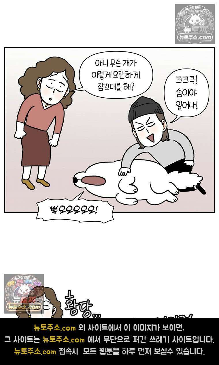 극한견주 시즌2 80화 낮에도 자고 밤에도 자는 개 24