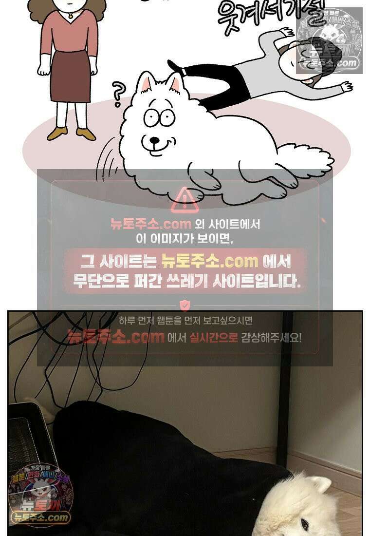 극한견주 시즌2 80화 낮에도 자고 밤에도 자는 개 25