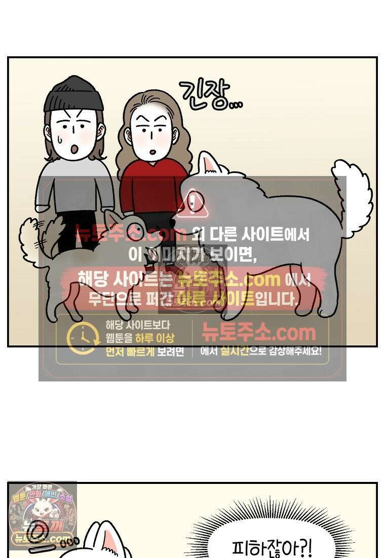 극한견주 시즌2 102화 우리 집에 온 숑이 2