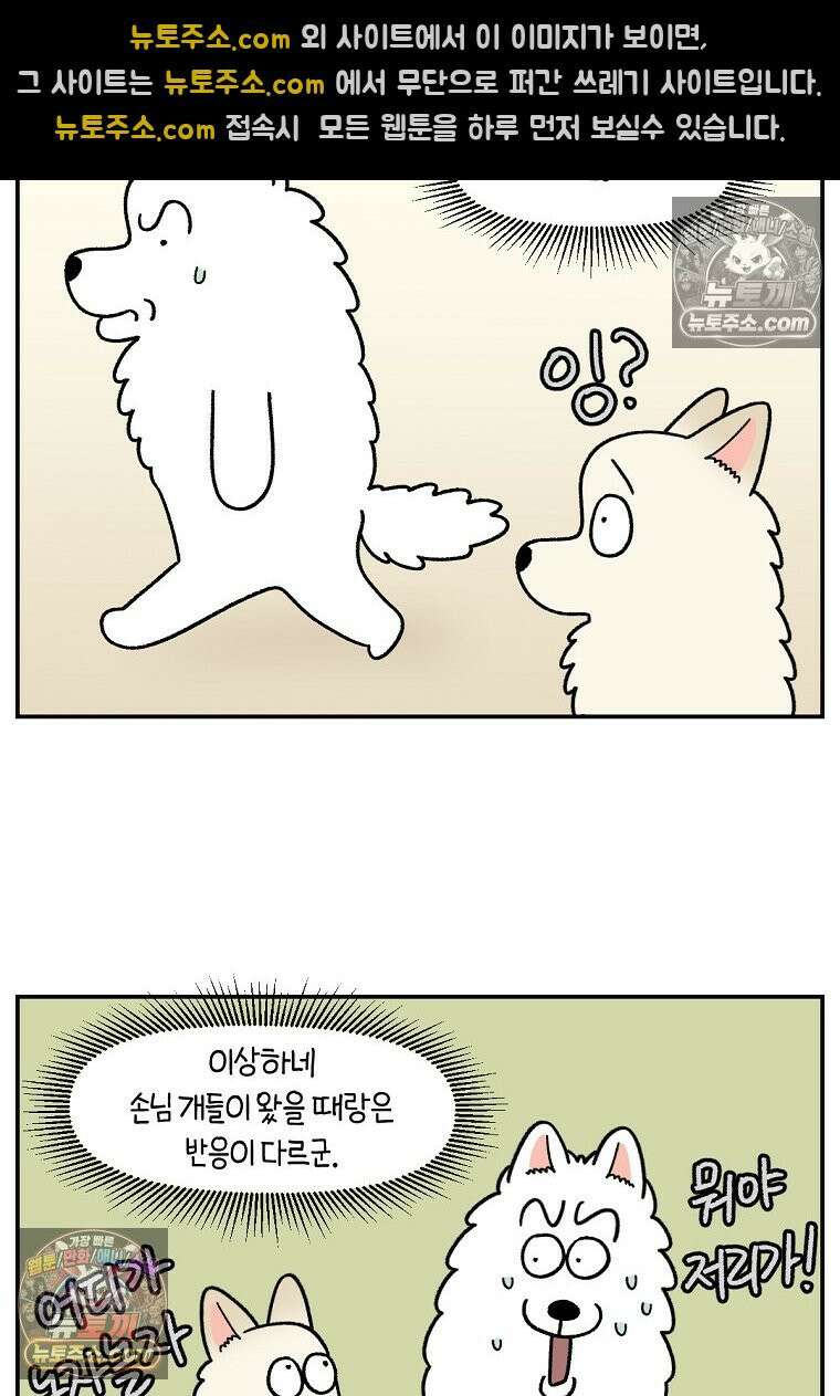 극한견주 시즌2 102화 우리 집에 온 숑이 3