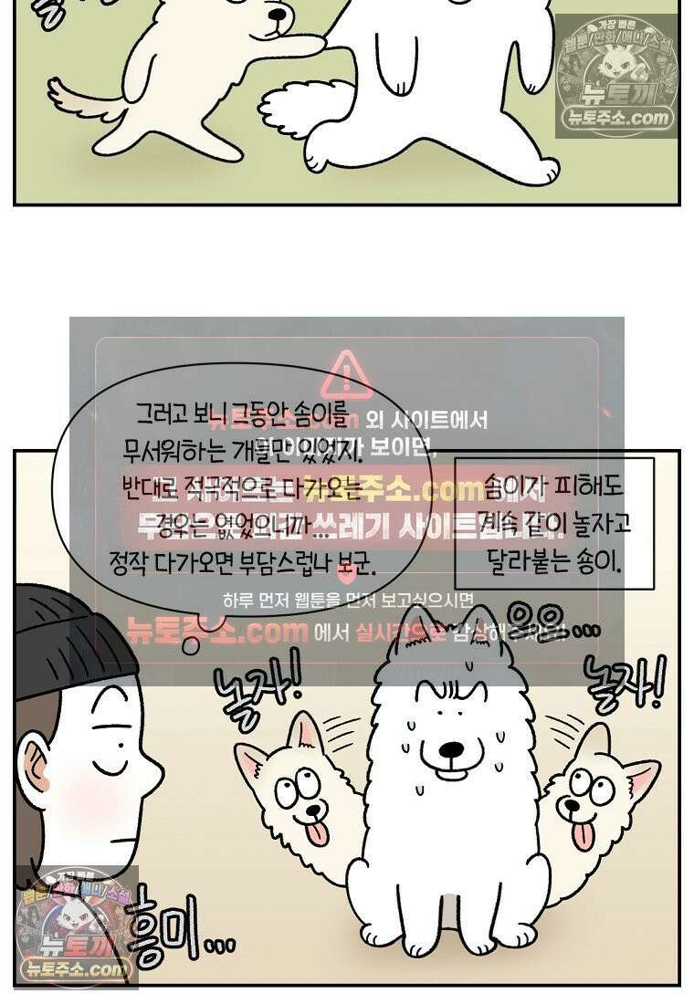 극한견주 시즌2 102화 우리 집에 온 숑이 4