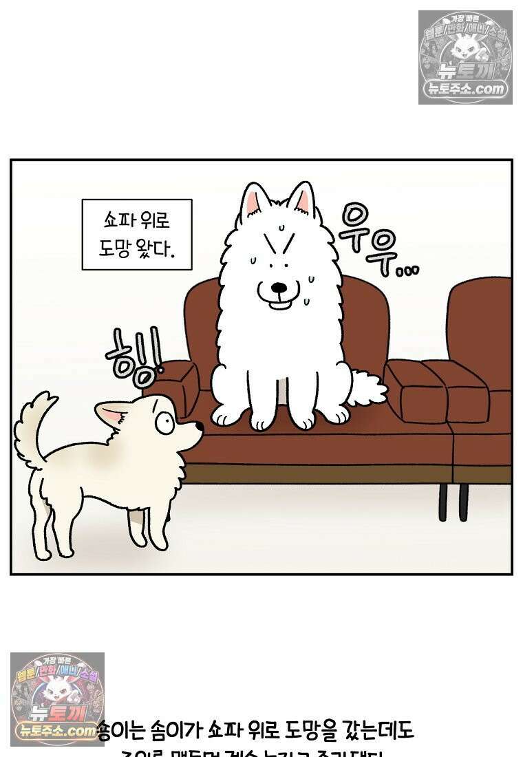 극한견주 시즌2 102화 우리 집에 온 숑이 5