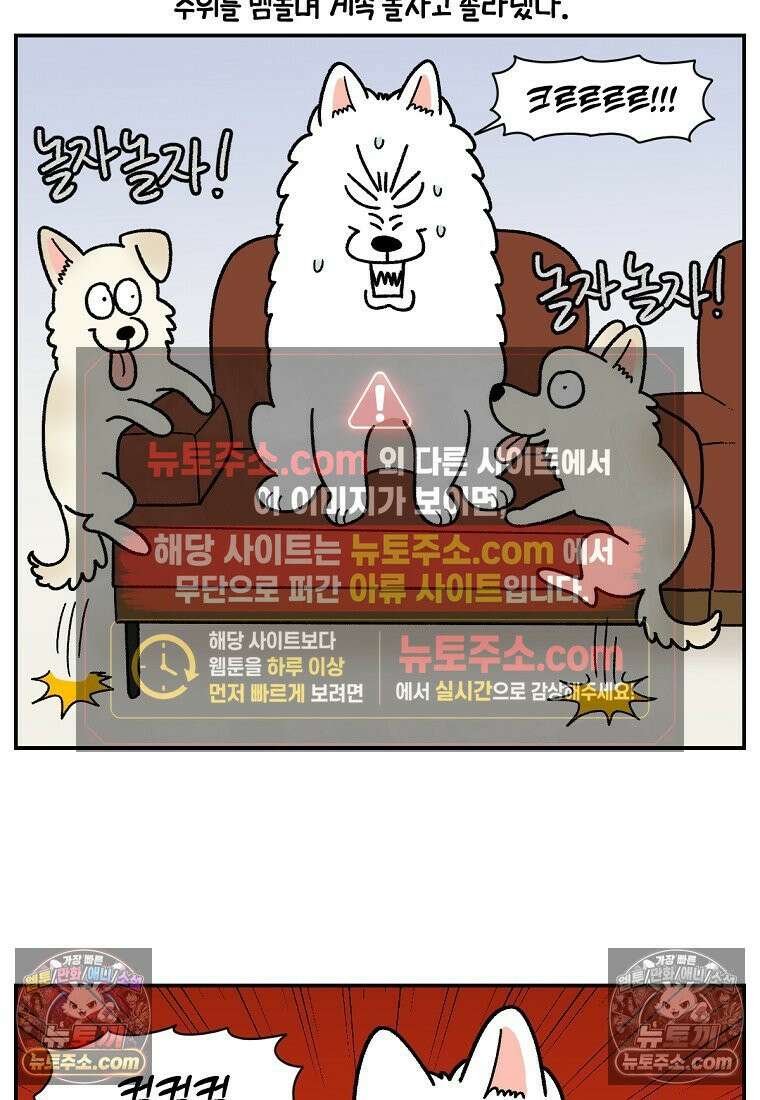 극한견주 시즌2 102화 우리 집에 온 숑이 6