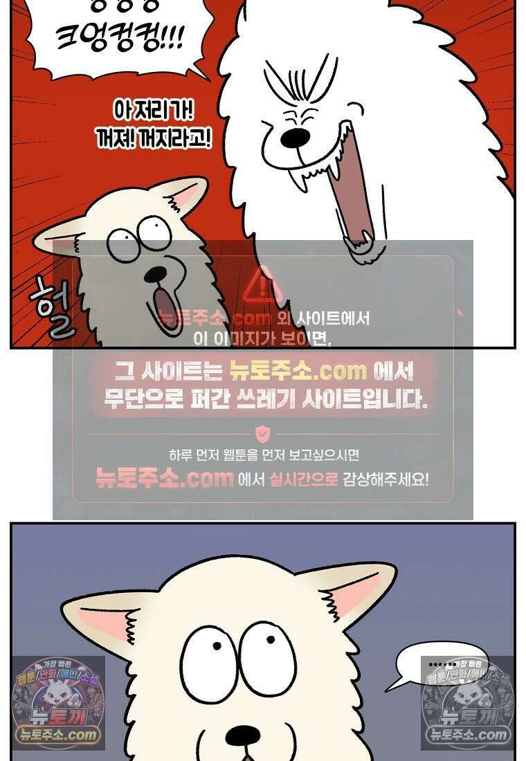 극한견주 시즌2 102화 우리 집에 온 숑이 7