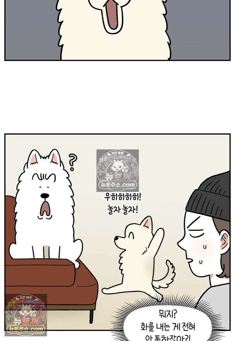 극한견주 시즌2 102화 우리 집에 온 숑이 8