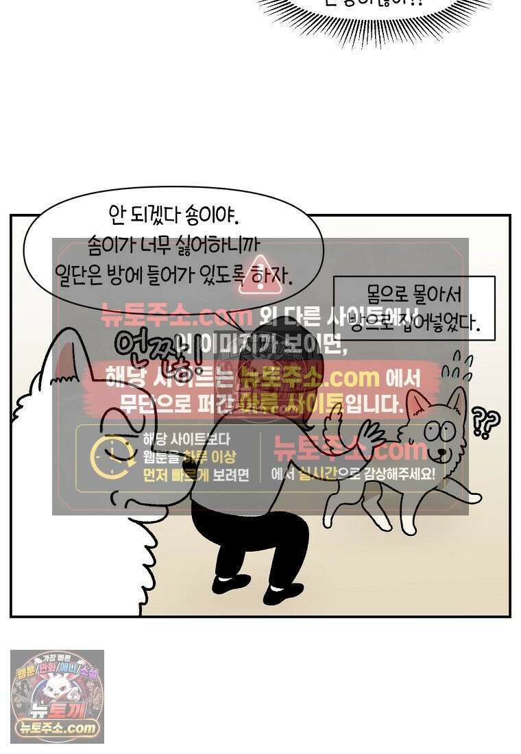 극한견주 시즌2 102화 우리 집에 온 숑이 9