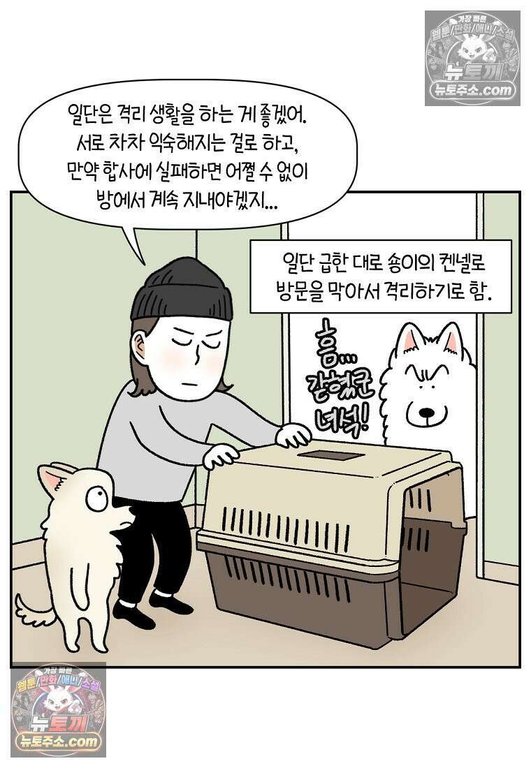 극한견주 시즌2 102화 우리 집에 온 숑이 10