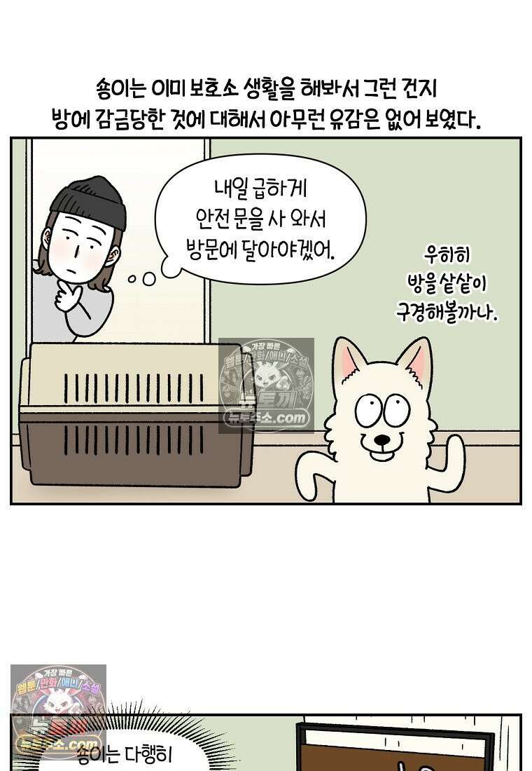 극한견주 시즌2 102화 우리 집에 온 숑이 12