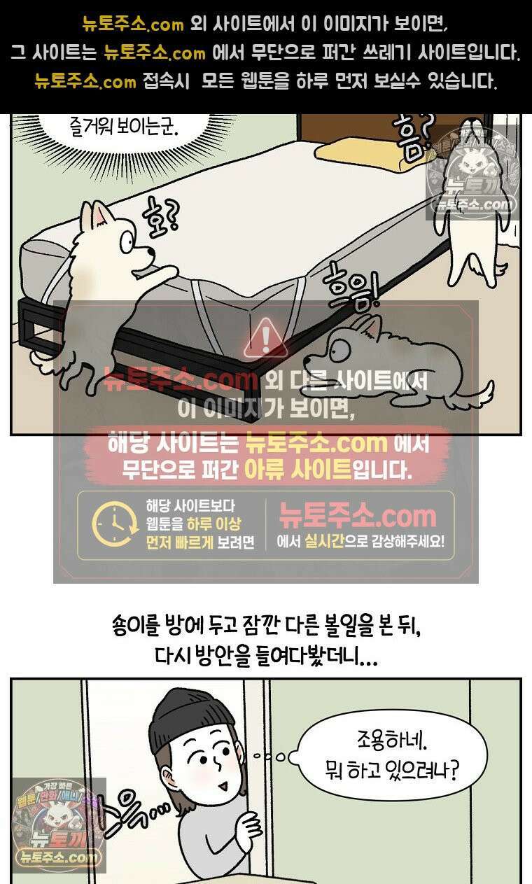 극한견주 시즌2 102화 우리 집에 온 숑이 13