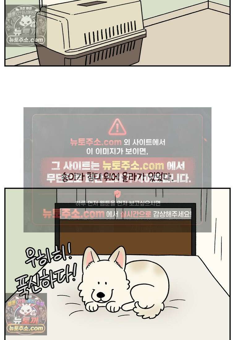 극한견주 시즌2 102화 우리 집에 온 숑이 14