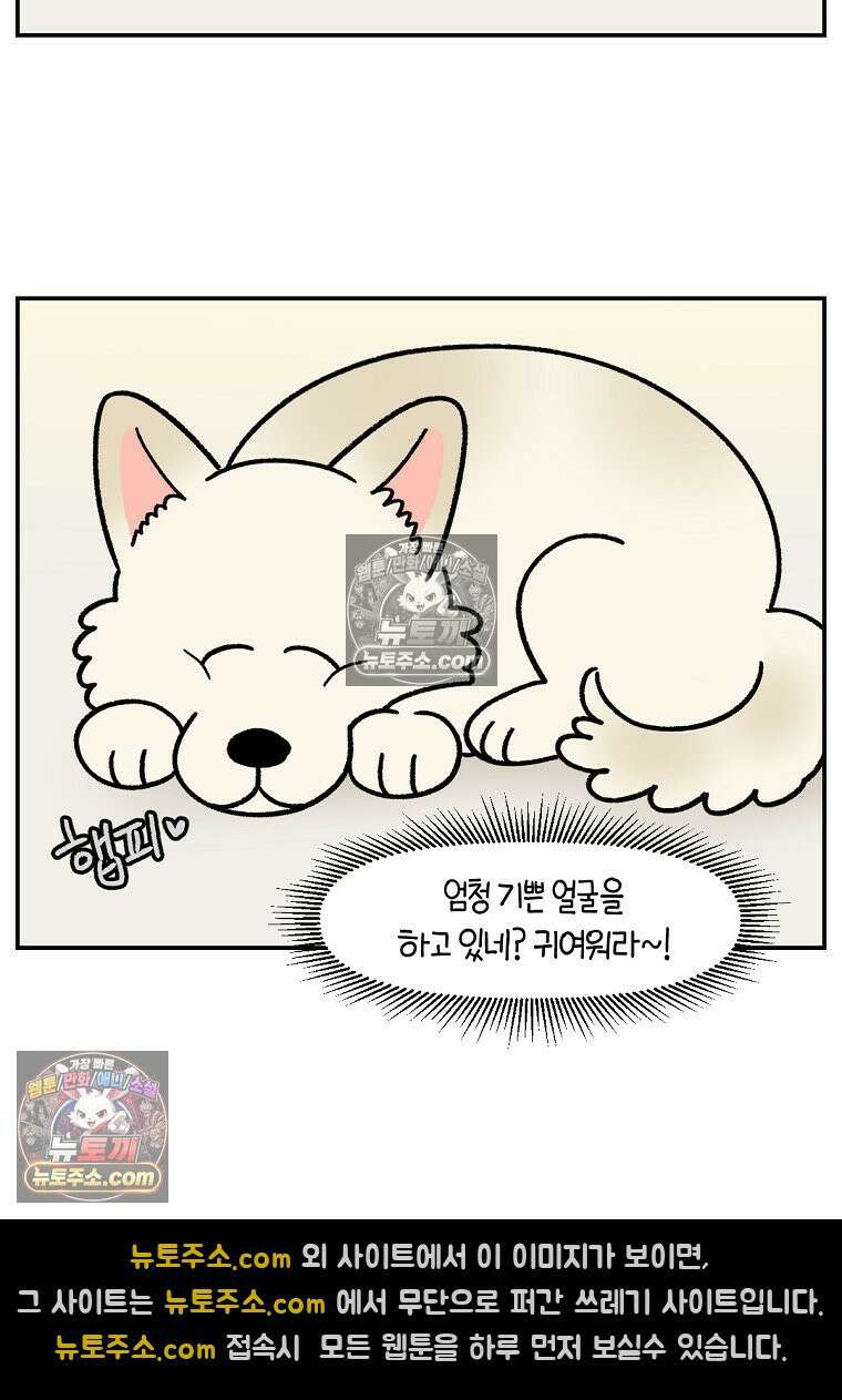 극한견주 시즌2 102화 우리 집에 온 숑이 15