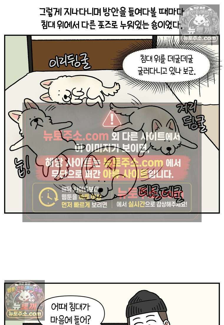 극한견주 시즌2 102화 우리 집에 온 숑이 16