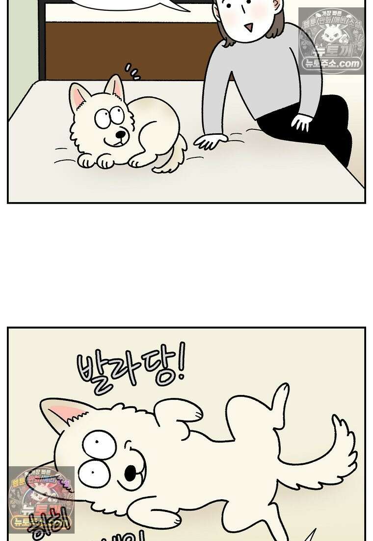극한견주 시즌2 102화 우리 집에 온 숑이 17