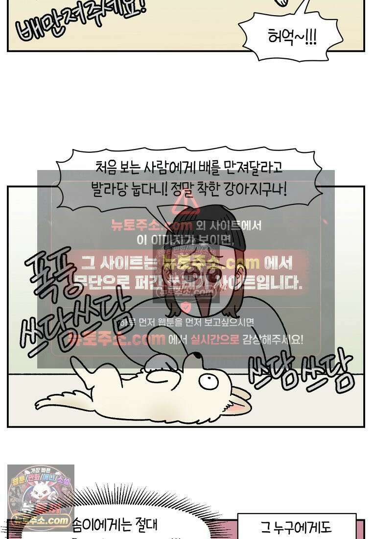 극한견주 시즌2 102화 우리 집에 온 숑이 18