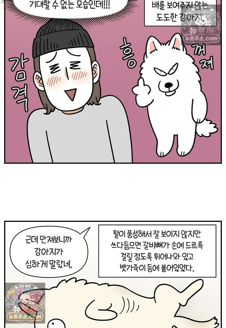 극한견주 시즌2 102화 우리 집에 온 숑이 19