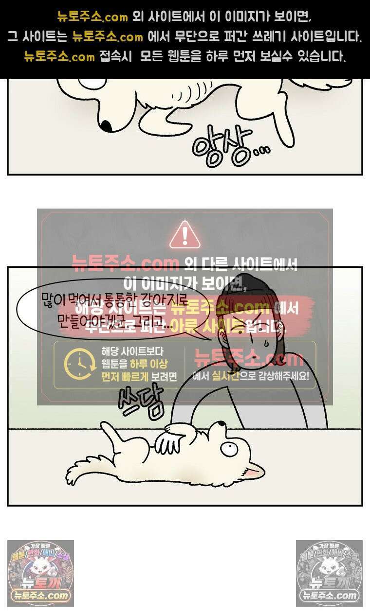 극한견주 시즌2 102화 우리 집에 온 숑이 20