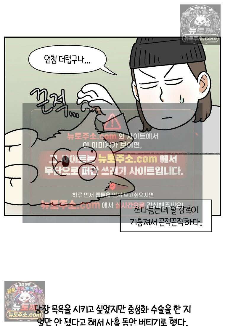 극한견주 시즌2 102화 우리 집에 온 숑이 21
