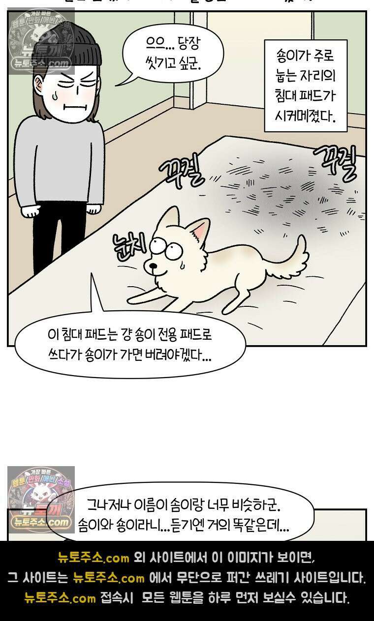 극한견주 시즌2 102화 우리 집에 온 숑이 22