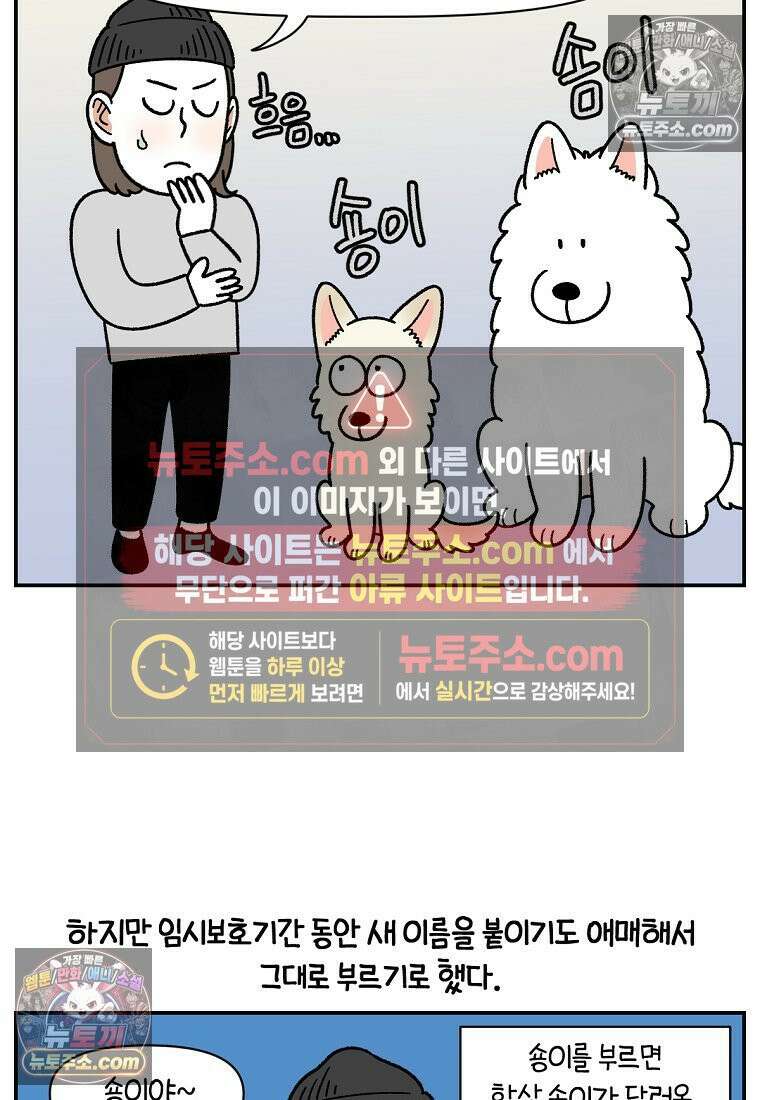 극한견주 시즌2 102화 우리 집에 온 숑이 23