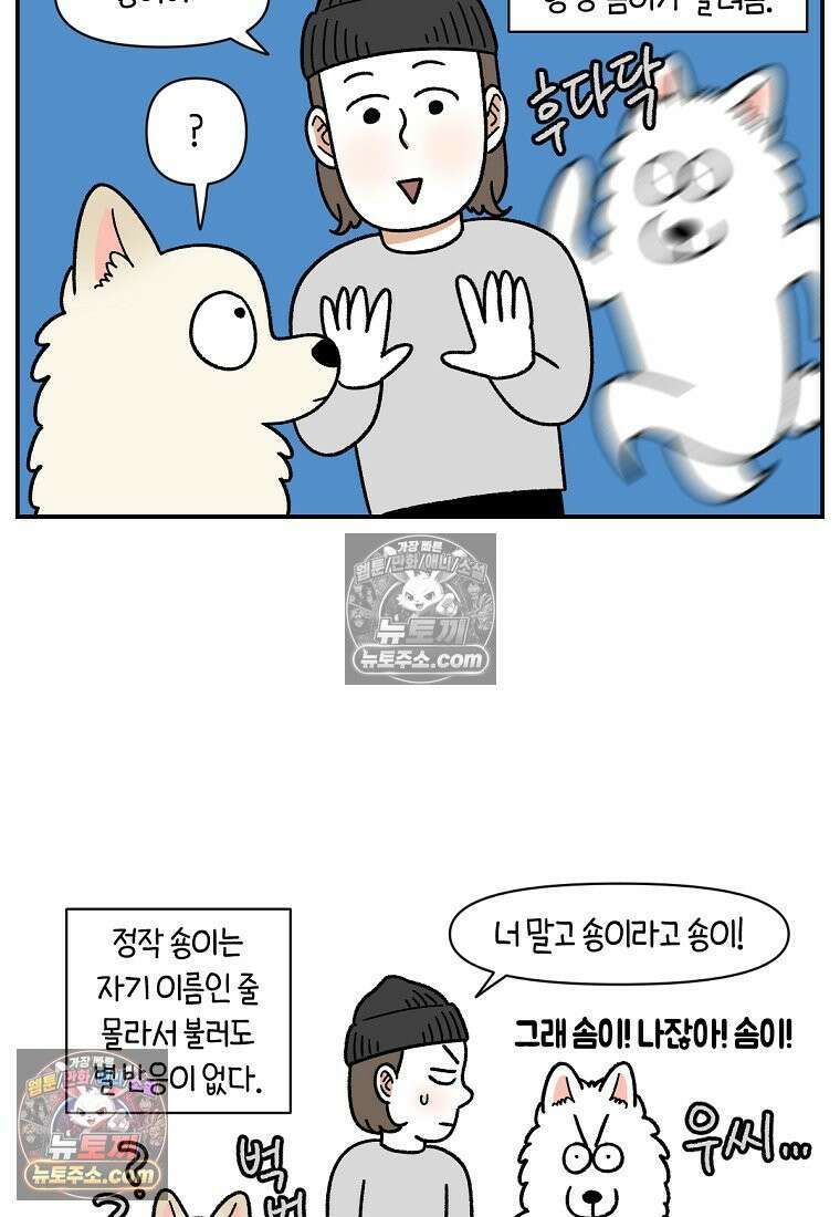 극한견주 시즌2 102화 우리 집에 온 숑이 24