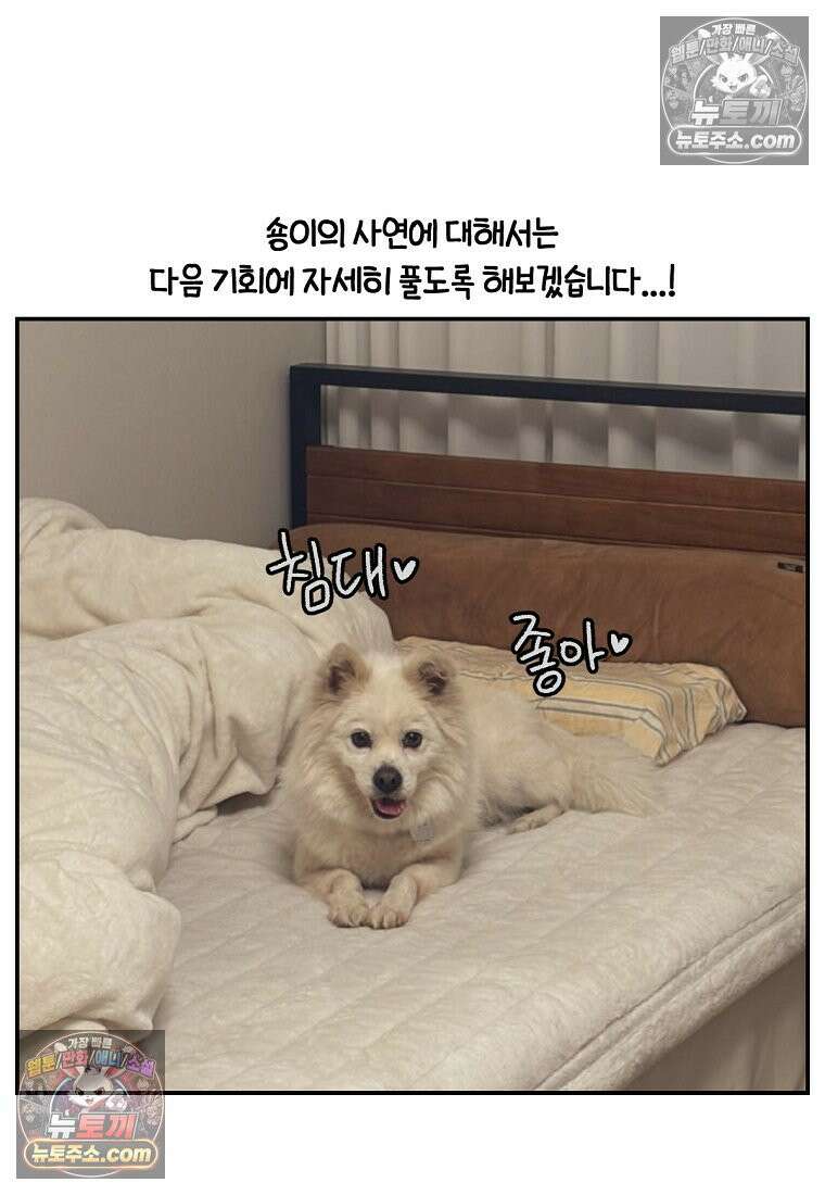 극한견주 시즌2 102화 우리 집에 온 숑이 26