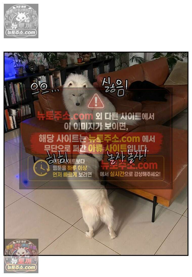 극한견주 시즌2 102화 우리 집에 온 숑이 27